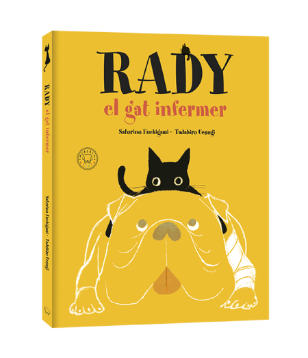 Rady, el gat infermer