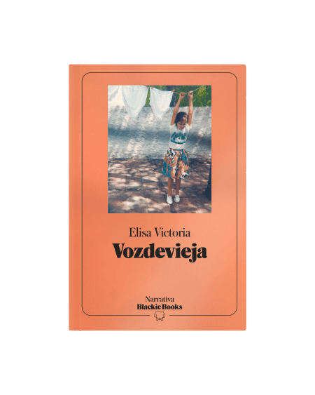 Vozdevieja